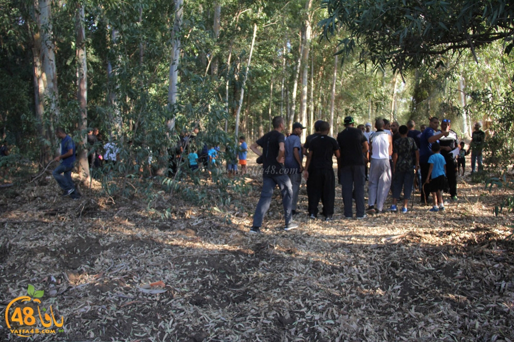 mokhayam picrtyere (88).jpeg